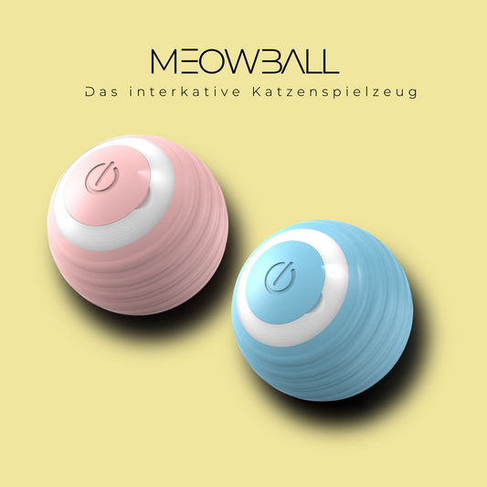 MEOWBALL Interaktiver Spielball für Katzen 