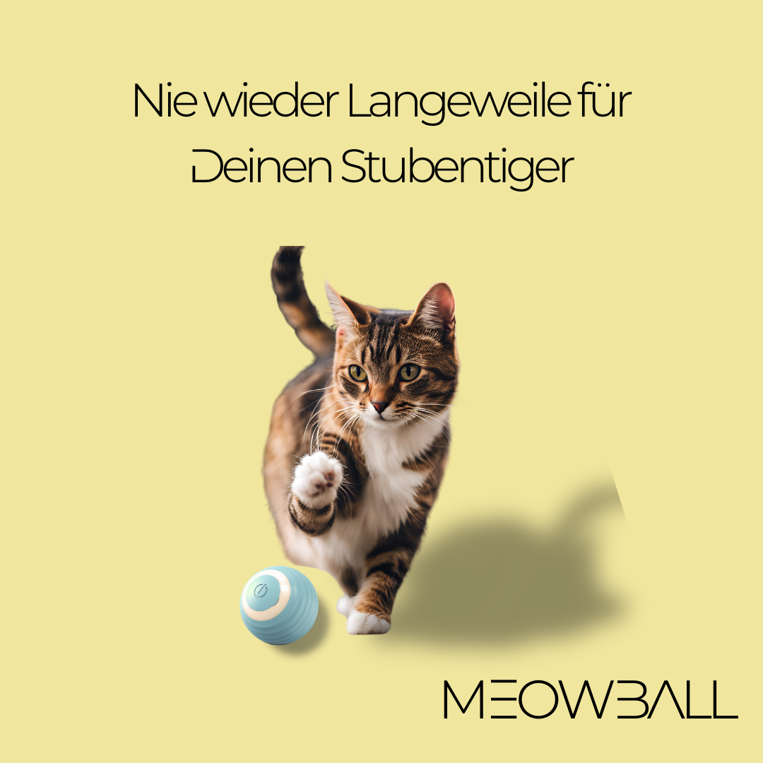 MEOWBALL Interaktiver Spielball für Katzen 