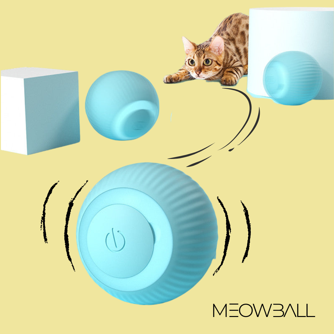 MEOWBALL Interaktiver Spielball für Katzen