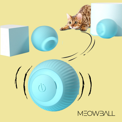 MEOWBALL Interaktiver Spielball für Katzen 