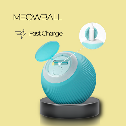 MEOWBALL Interaktiver Spielball für Katzen 